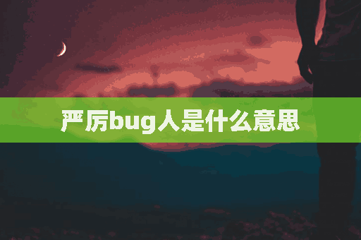 严厉bug人是什么意思